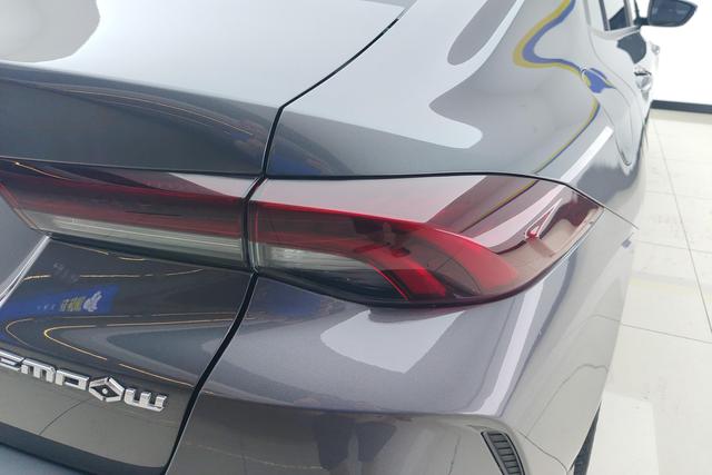 Gac Trumpchi Shadow Leopard 2021 — фото 8