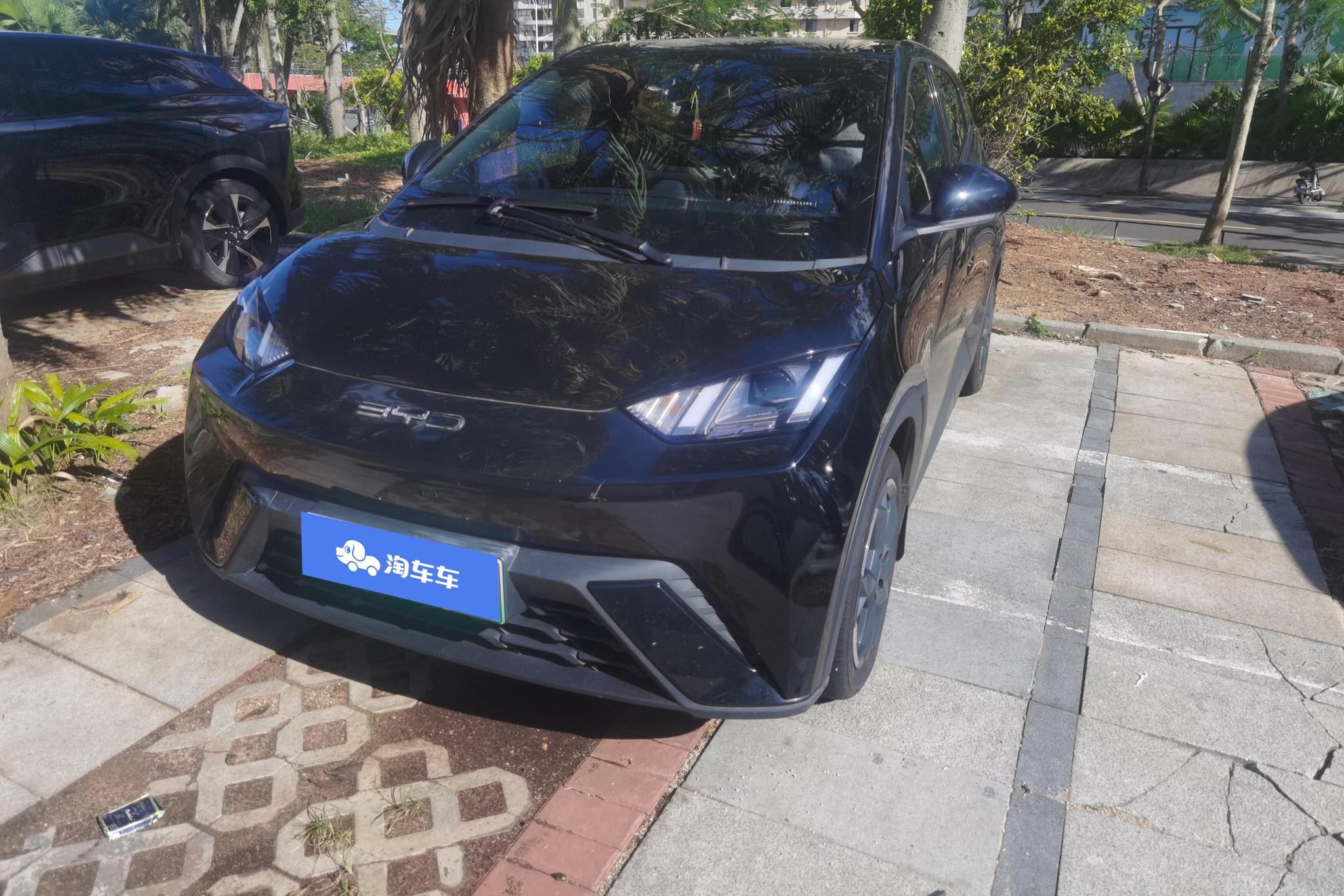 BYD Seagull