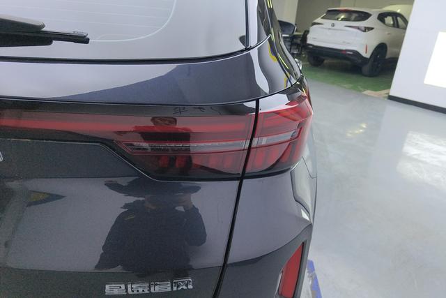 Astral Path Chasing the wind C-DM id 3804442 из Китая 8