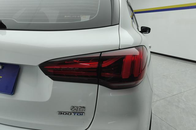 MG MG Pilot id 3823607 из Китая 15