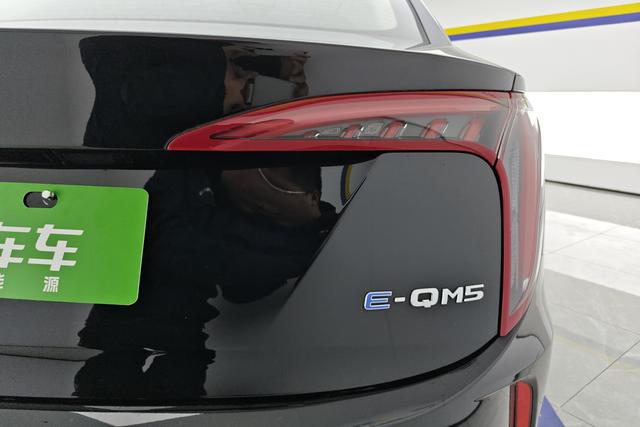 Red flag E-QM5 2024 Черный из Китая, фото 4