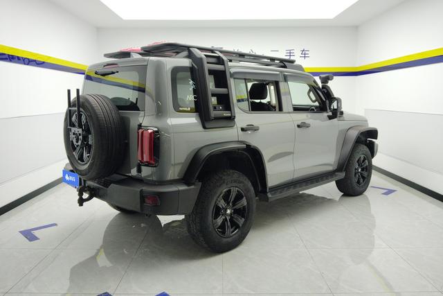 Tank 300 2022 Темно-серый из Китая, фото 5