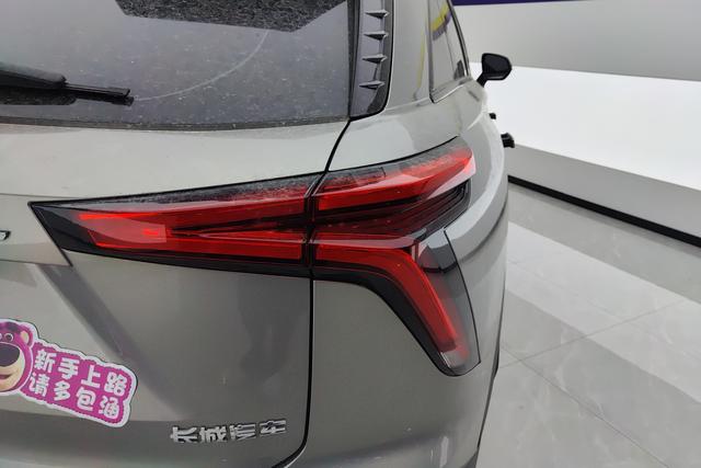 Haval Divine beast id 3816527 из Китая 9