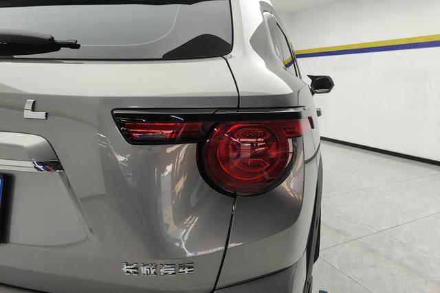 Haval Big Dog PLUS 2024 Темно-серый из Китая, фото 4