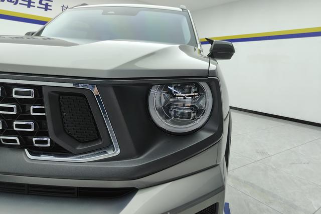 Haval Big Dog PLUS id 3810619 из Китая 12