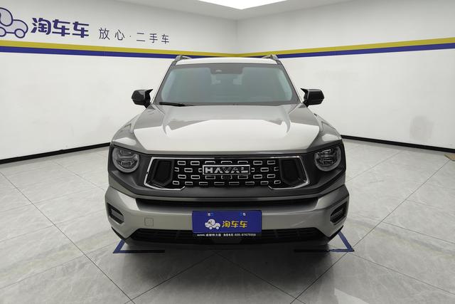 Haval Big Dog PLUS id 3810619 из Китая 16