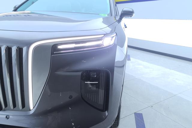 Red flag E-HS9 2023 Темно-серый из Китая, фото 2