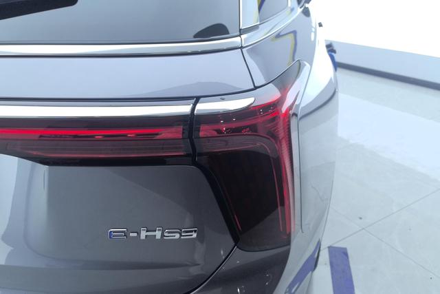 Hongqi E-HS9 2020 460km — фото 5