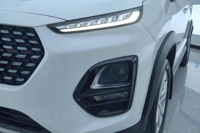CHERY Tiggo 3x 2020 — фото 4