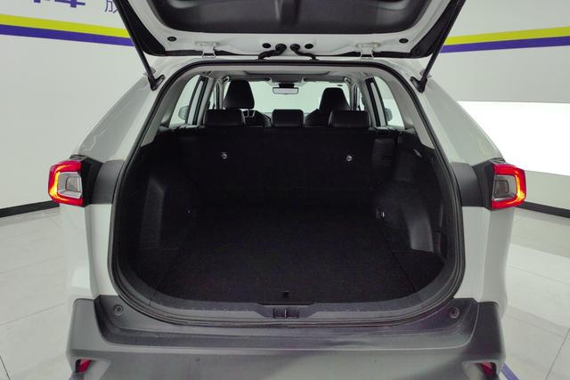 Toyota Wildlander 2020 2.0 L 4 WD — фото 17