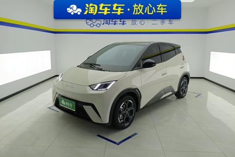 BYD Seagull