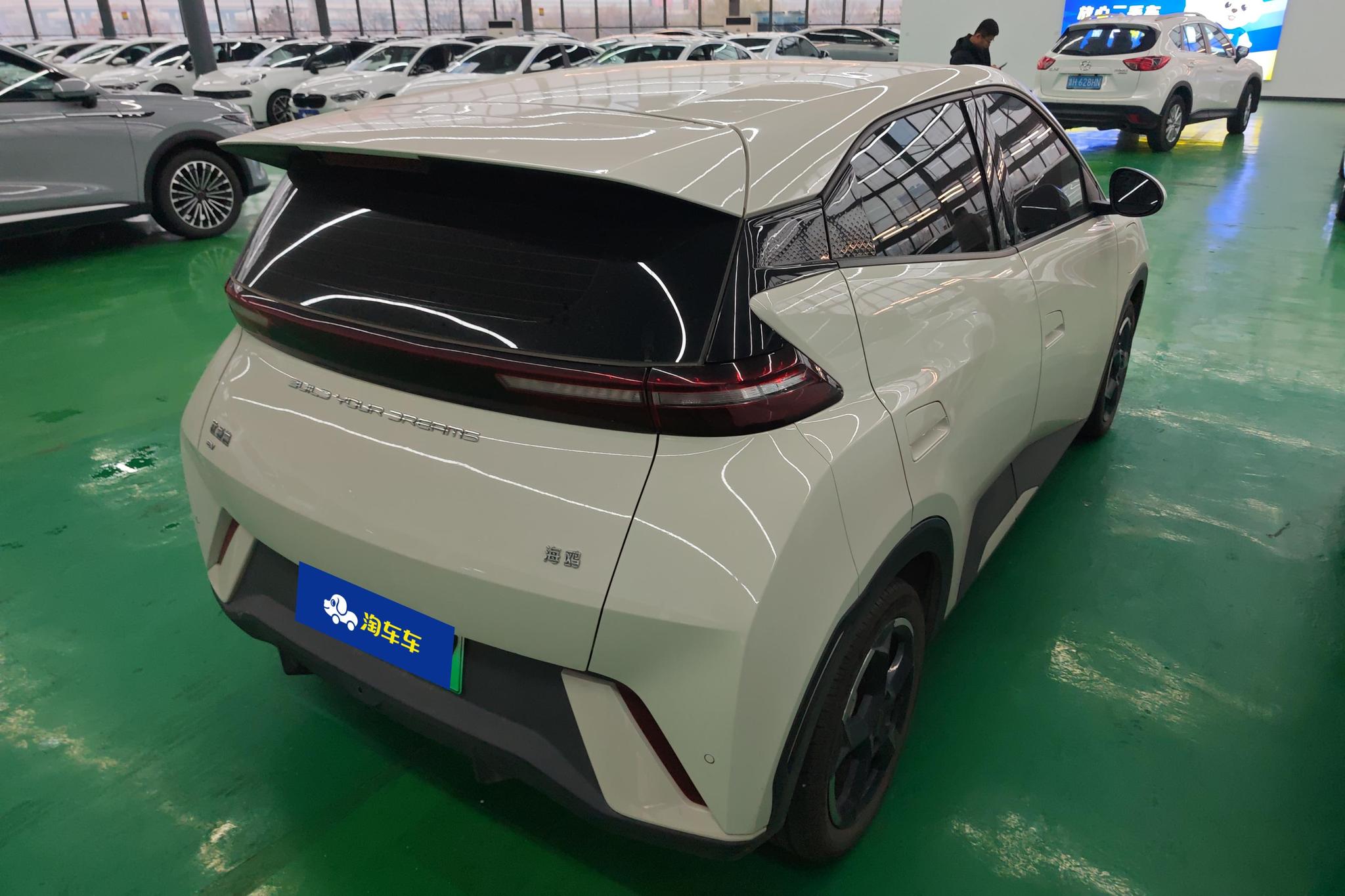 BYD Seagull 2023 Freedom