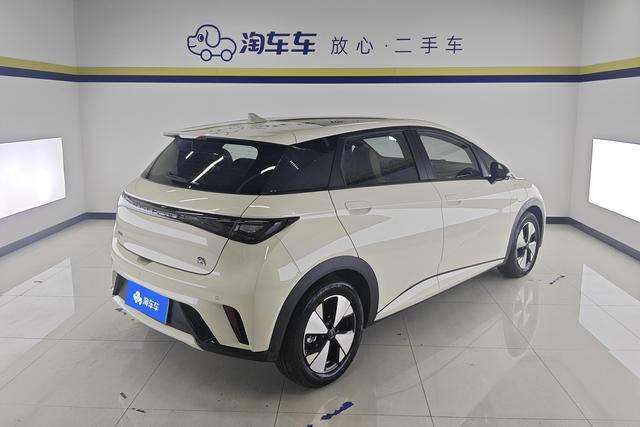 BYD dolphin 2024 Другой из Китая, фото 4