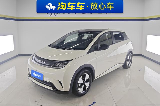 BYD dolphin id 3768838 из Китая 8