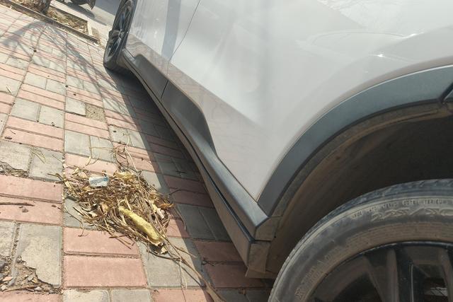 Chevrolet Volando id 3781411 из Китая 8