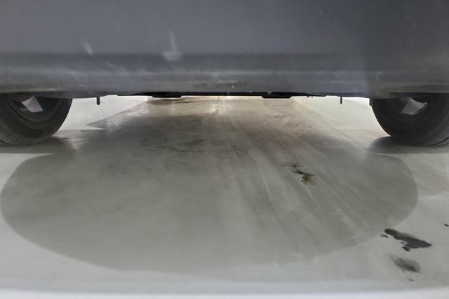 Red flag E-QM5 2023 Черный из Китая