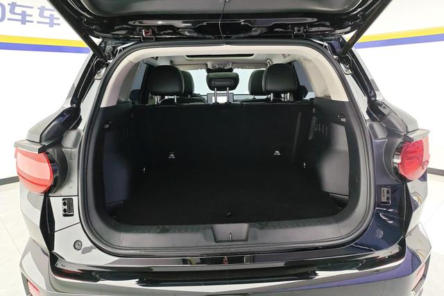 Haval Big Dog PLUS 2024 Черный из Китая, фото 4