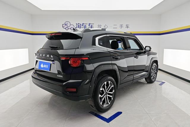 Haval Big Dog PLUS 2024 Черный из Китая, фото 5