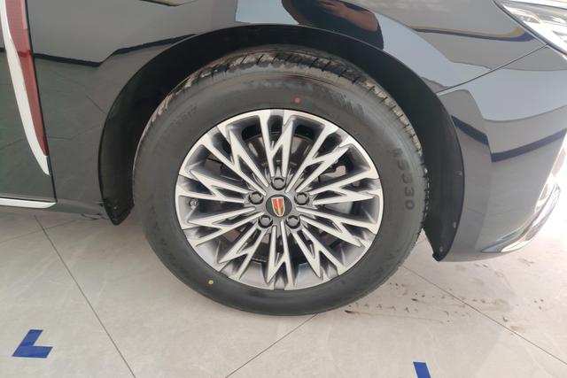 Red flag H5 2024 Черный из Китая, фото 5