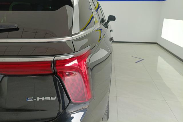 Hongqi E-HS9 2020 460km — фото 5
