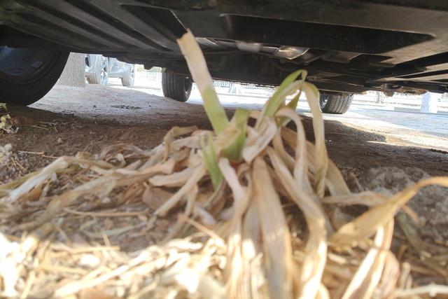 Sihao E20X id 3784529 из Китая 15