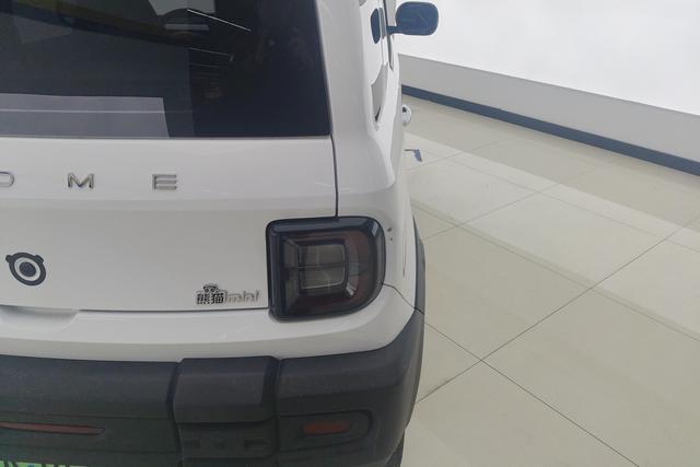 Geely Galaxy panda 2024 Белый из Китая, фото 4