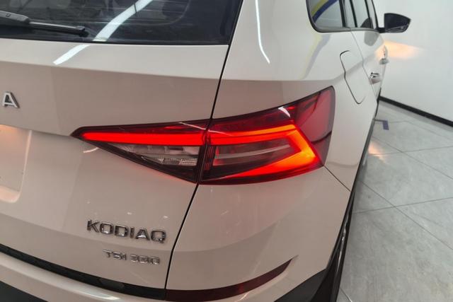 Skoda Kodiaq 2019 — фото 6