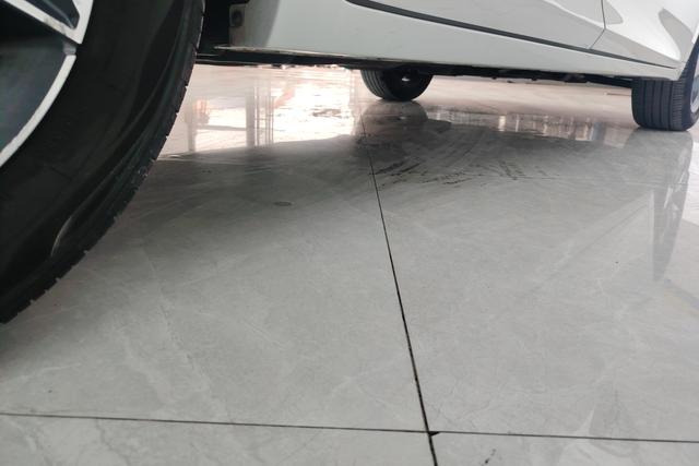 Trumpchi M6 2023 PRO 270 T WDCT — фото 12