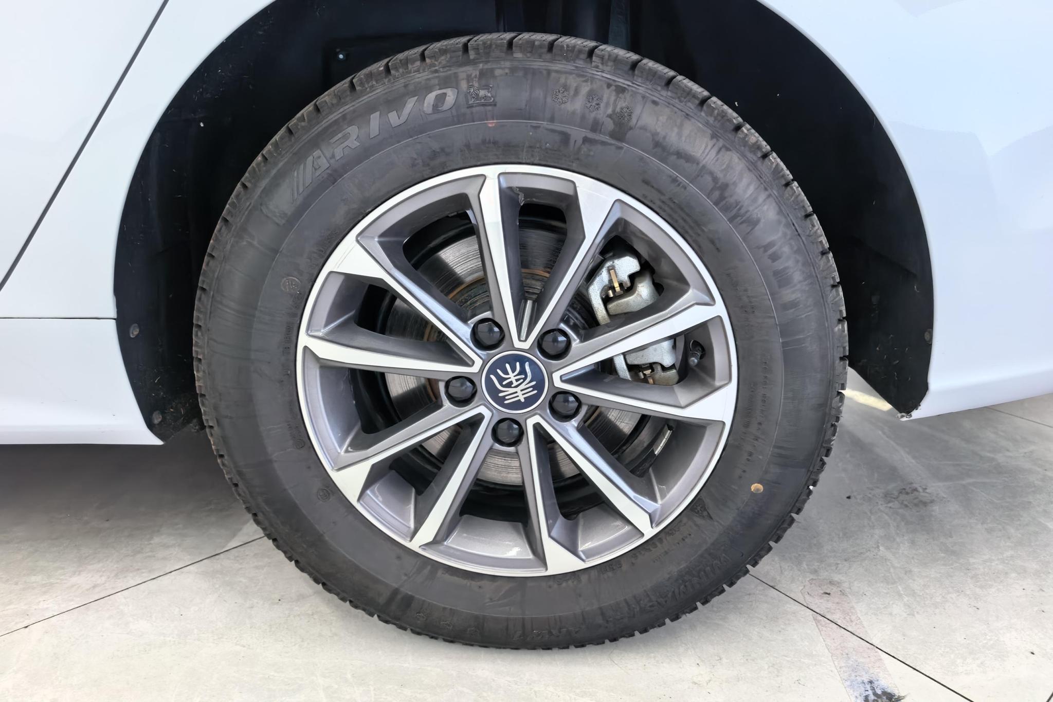 BYD Qin Plus DM-i PLUS DM 2024 DM-i 55KM Lead