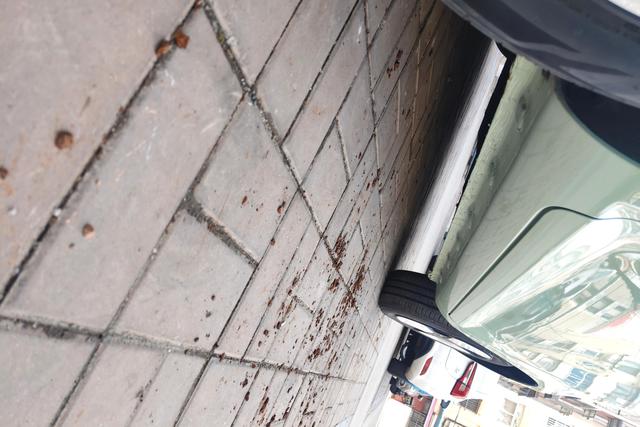 Changan Qiyuan Changan Lumin id 3784985 из Китая 14