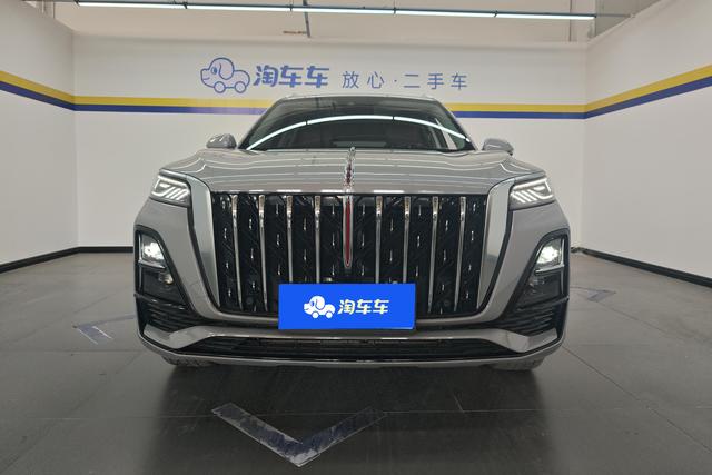 Red flag HS5 2023 Темно-серый из Китая, фото 6