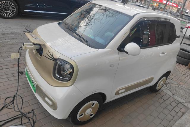 Pentium pony 2025 Белый из Китая, фото 4