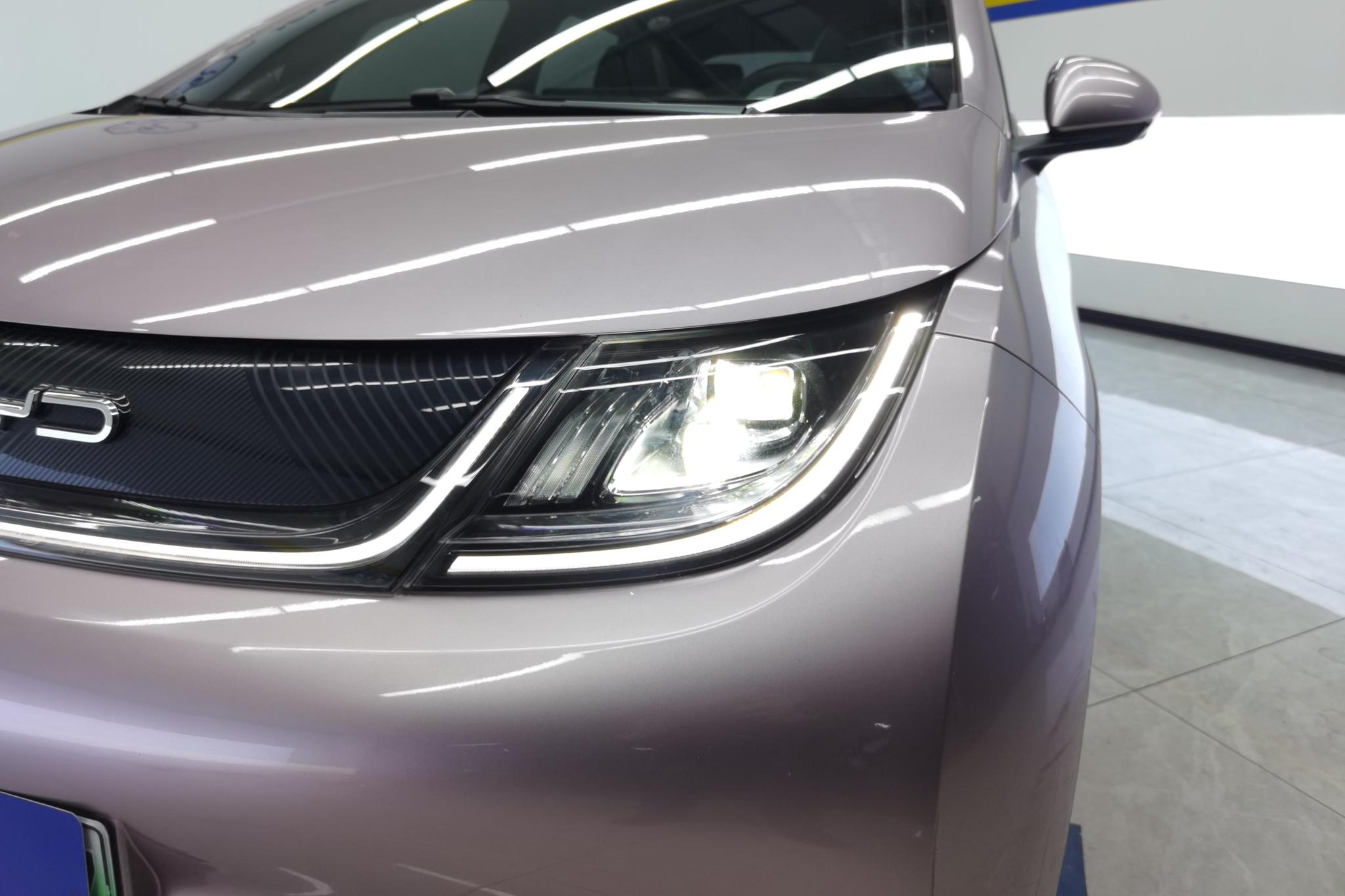 BYD Dolphin 2021 Fashion