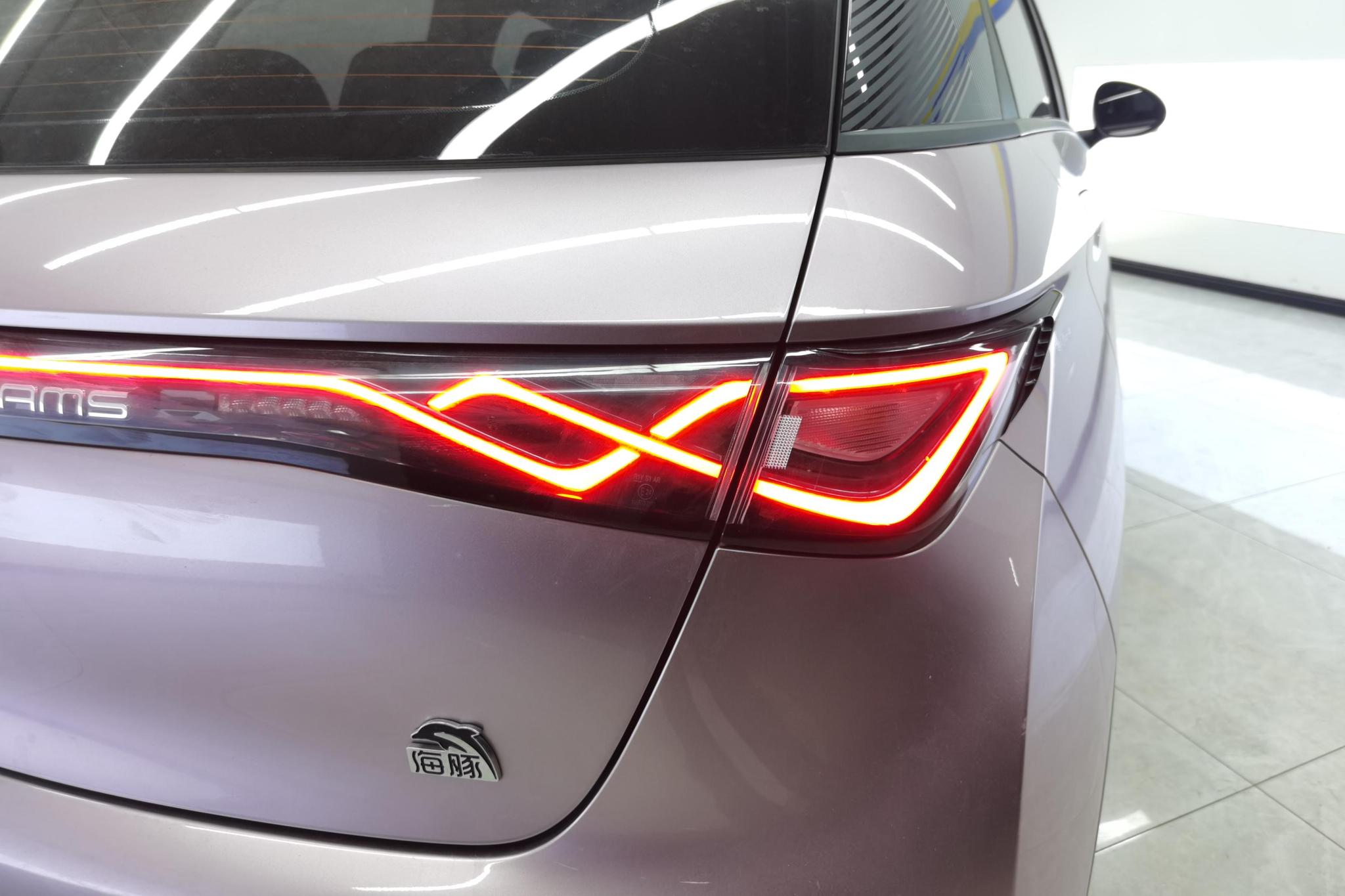 BYD Dolphin 2021 Fashion