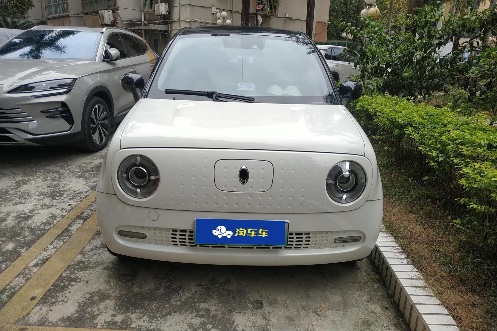 Ora Black Cat 2019 351km