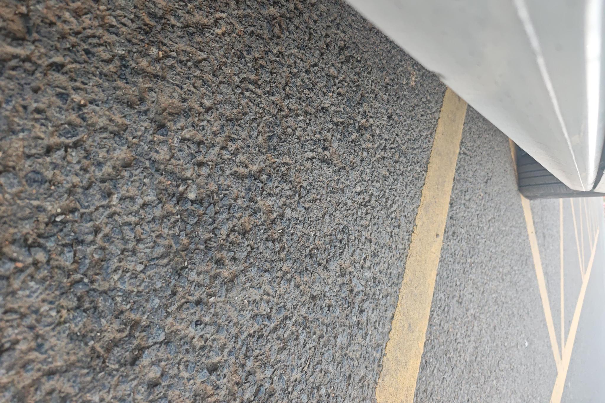 Volkswagen Polo 2023 Plus 1.5L MT