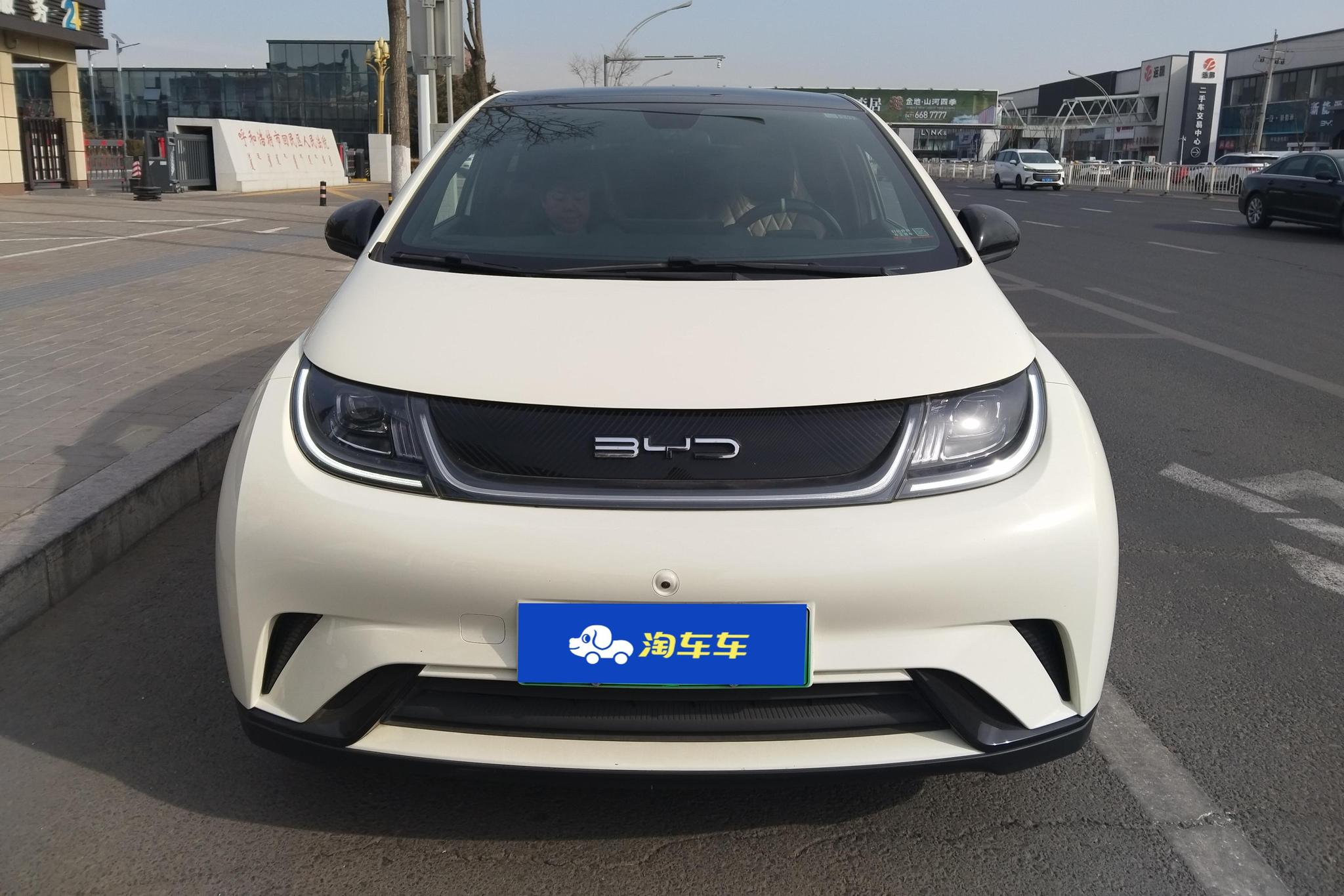 BYD Dolphin 2021 Fashion
