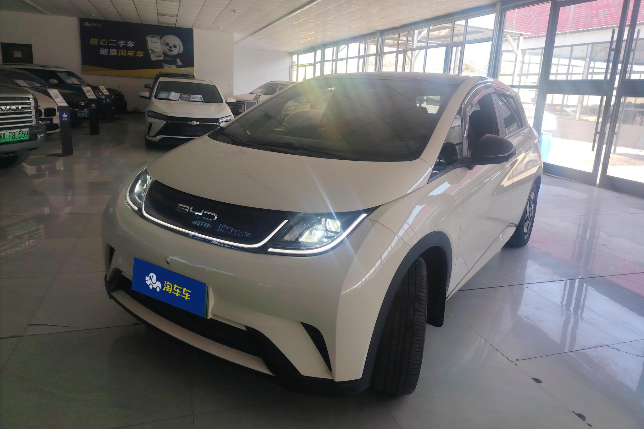 BYD Dolphin