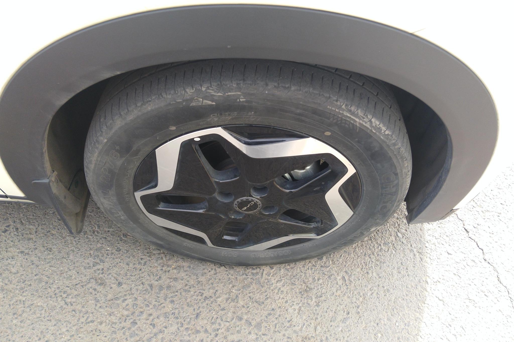 BYD Dolphin 2021 Fashion