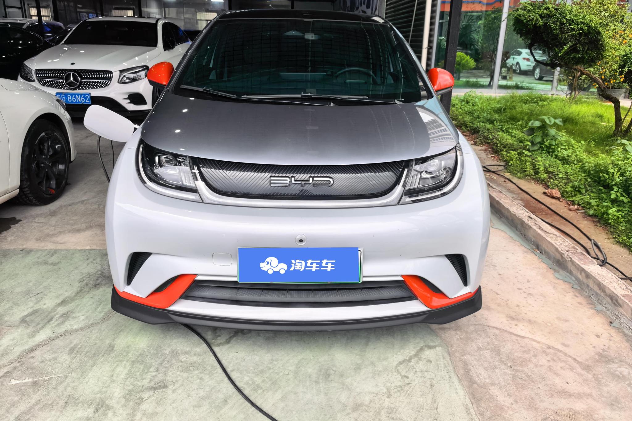 BYD Dolphin
