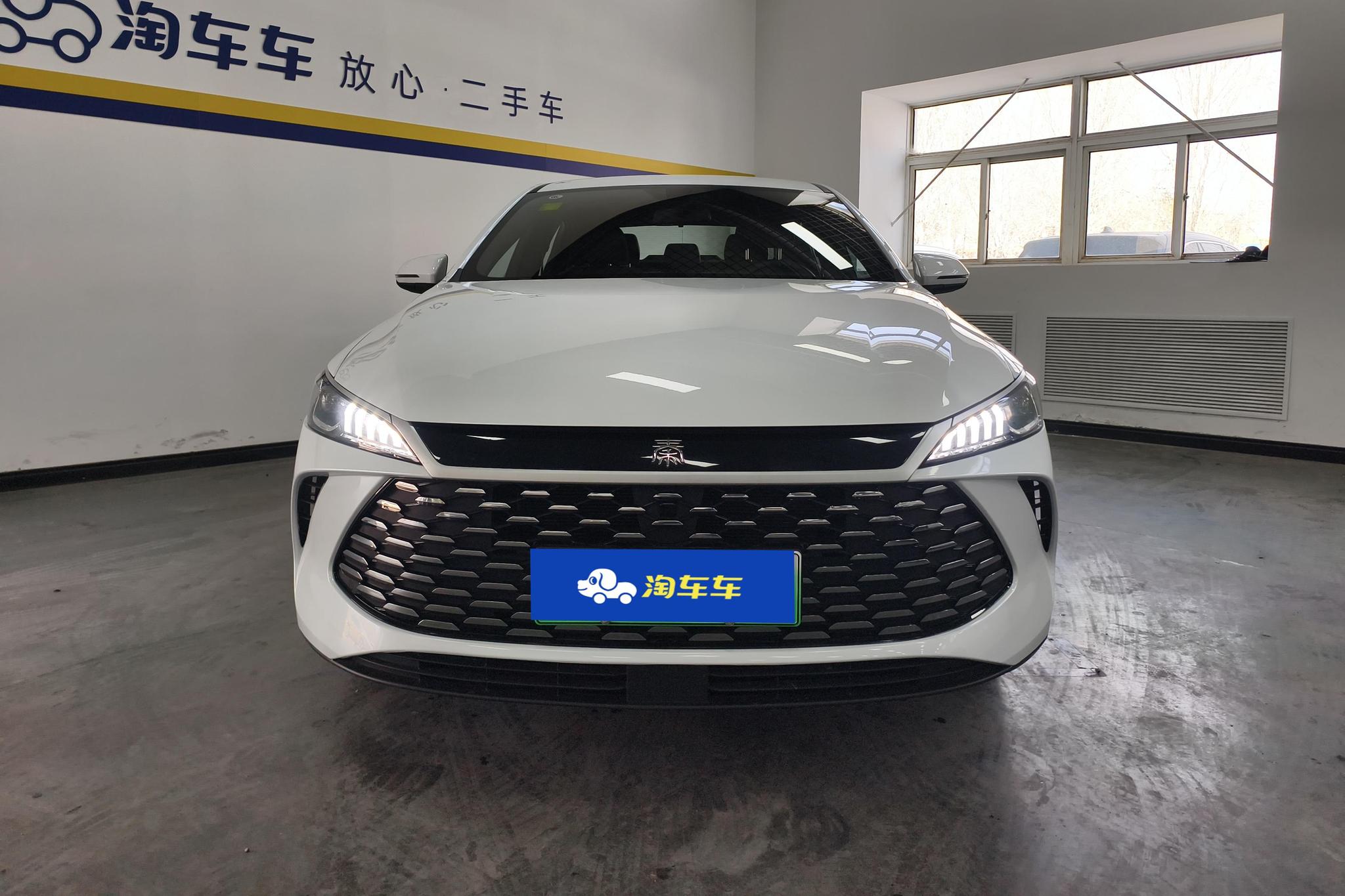 BYD Qin Plus DM-i PLUS DM 2025 Smart Drive DM-i 55KM Lead