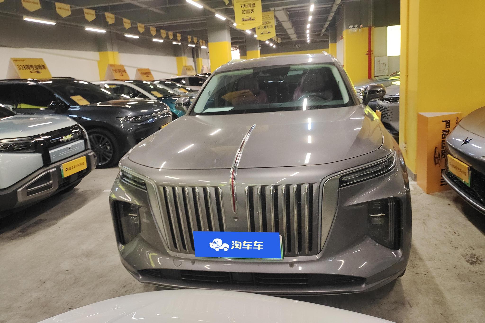 Hongqi E-HS9 2022 660km мест