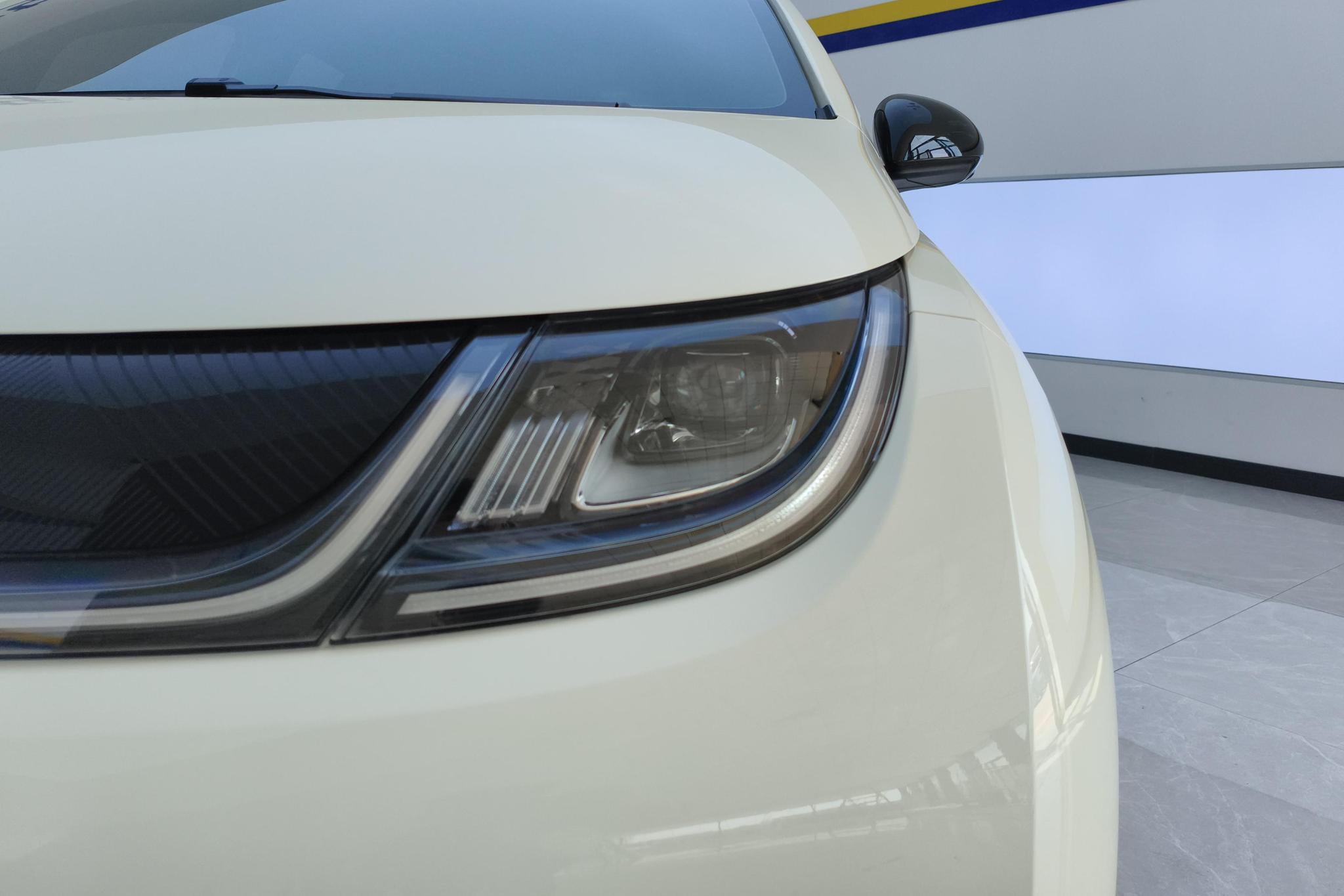 BYD Dolphin 2025 420KM Freedom