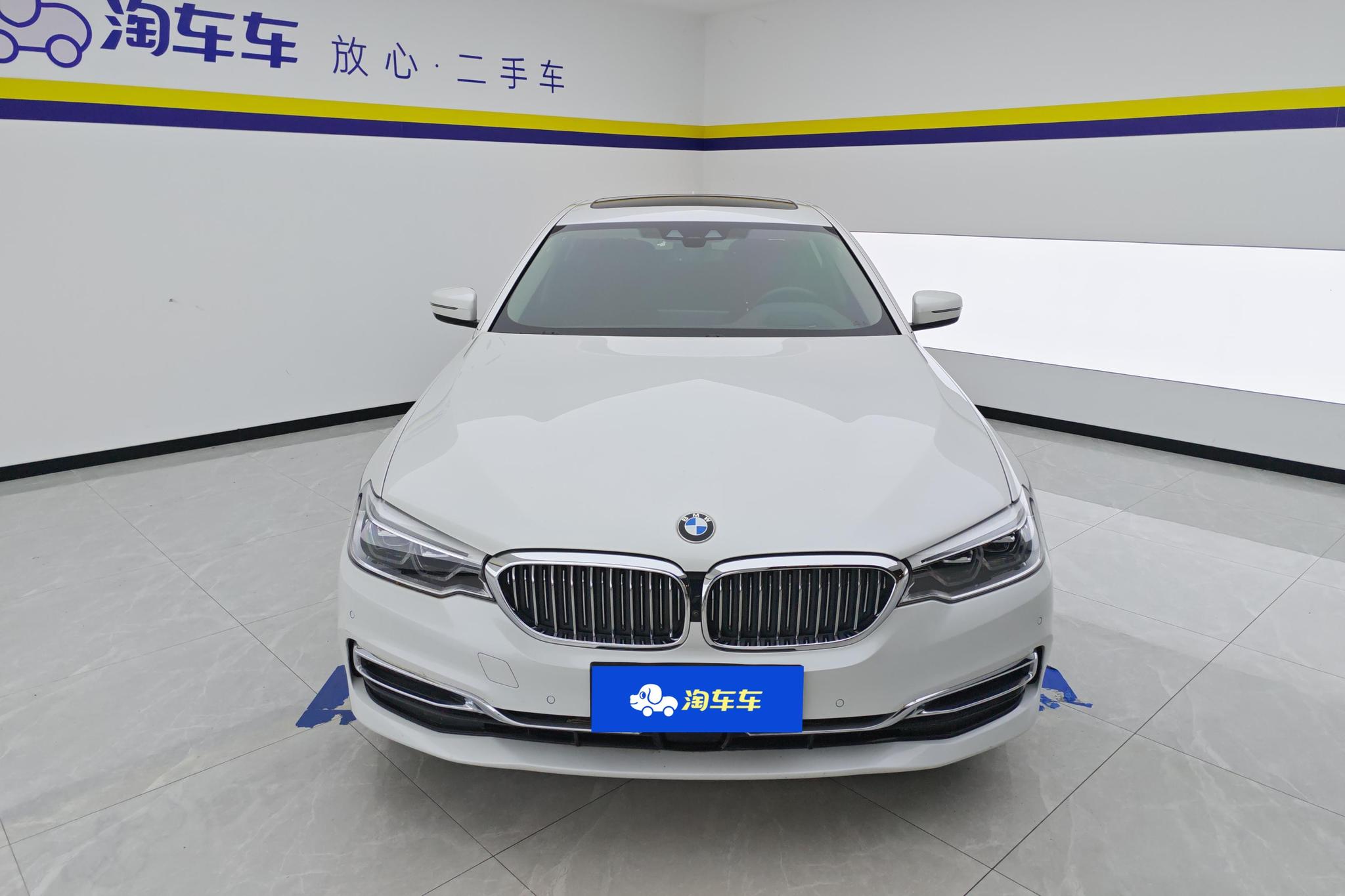 BMW 5 Series 5 2019 530Li Premium Luxury