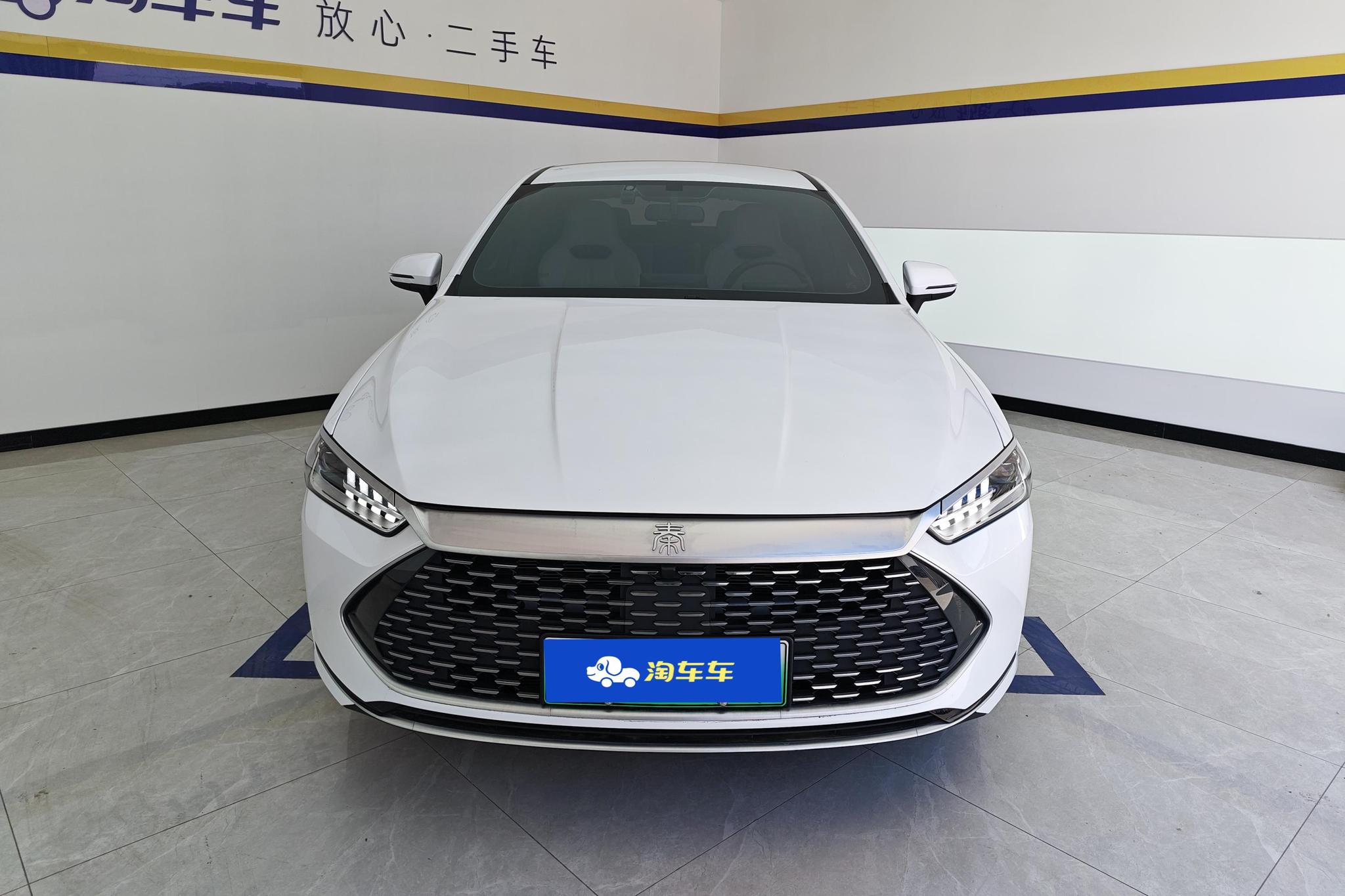 BYD Qin Plus DM-i PLUS DM 2024 DM-i 55KM Lead
