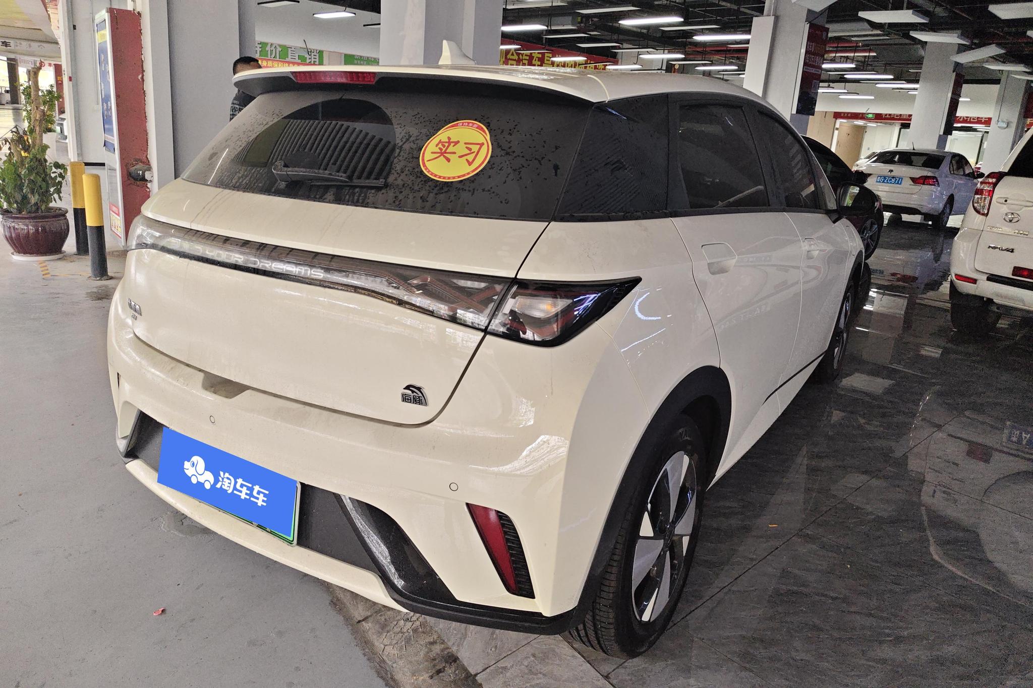 BYD Dolphin 2023 Fashion