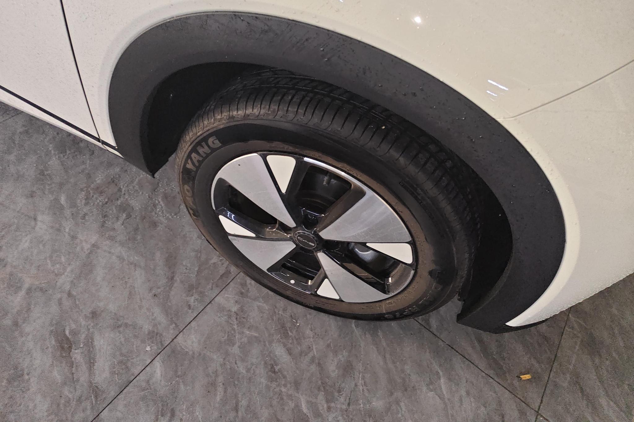 BYD Dolphin 2023 Fashion