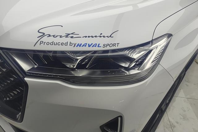 Haval H6 2021 2.0 T AT 2 WDMax — фото 4