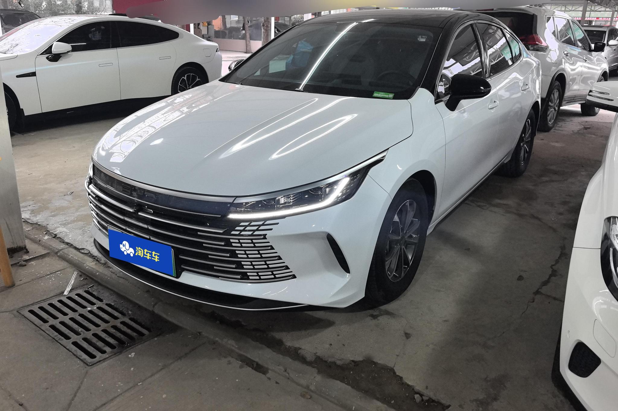 BYD Destroyer 05