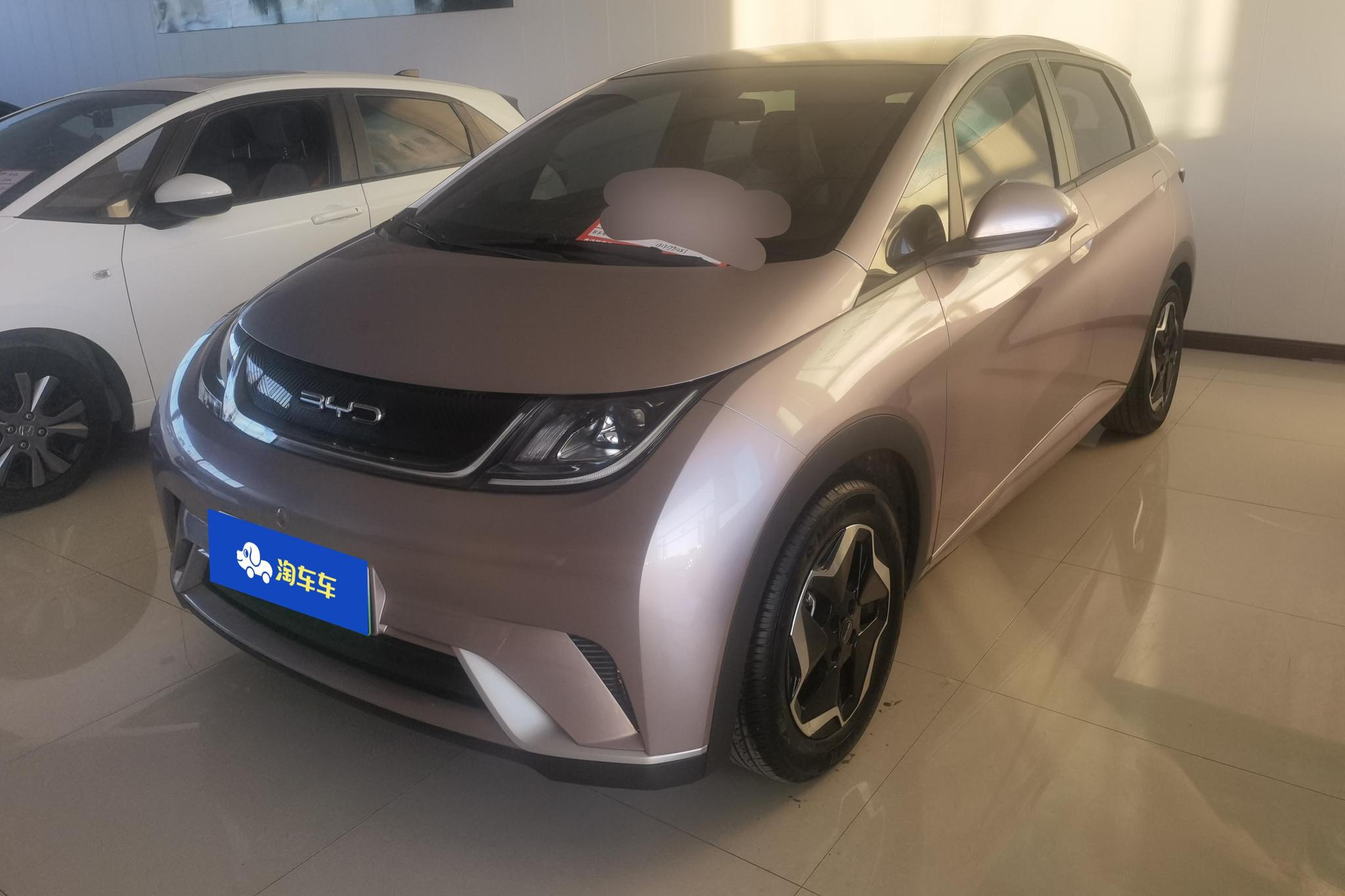 BYD Dolphin